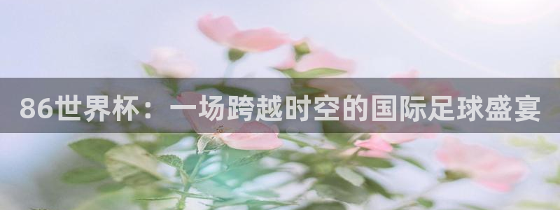 2026年世界杯时间表：86世界杯：一场跨越时空的国际足球盛宴
