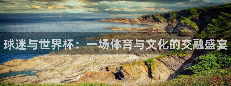 世界杯赛程表：球迷与世界杯：一场体育与文化的交融盛宴