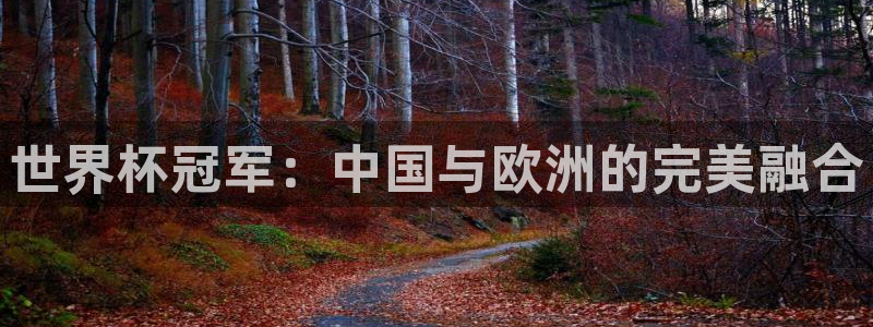 世界杯亚洲预选赛18强赛程：世界杯冠军：中国与欧洲的完美融合