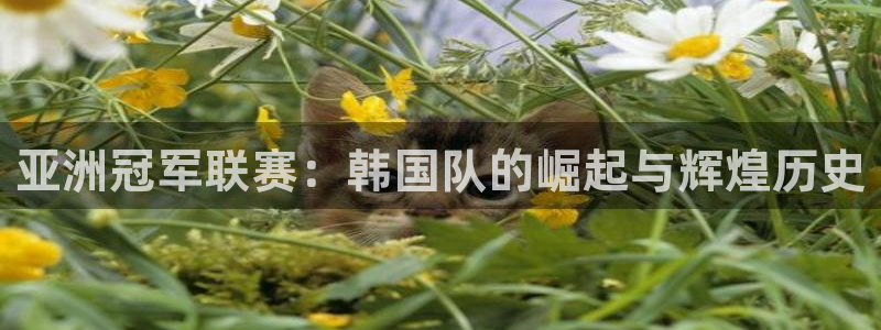 世预赛欧洲赛程表：亚洲冠军联赛：韩国队的崛起与辉煌历史