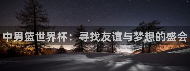 2026世界杯中国队：中男篮世界杯：寻找友谊与梦想的盛会