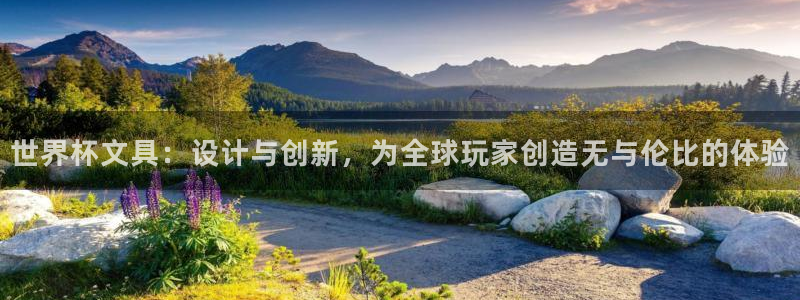 世界杯预选赛亚洲区积分榜：世界杯文具：设计与创新，为全球玩家创造无与伦比的体验