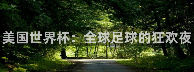 世界杯预选赛亚洲：美国世界杯：全球足球的狂欢夜