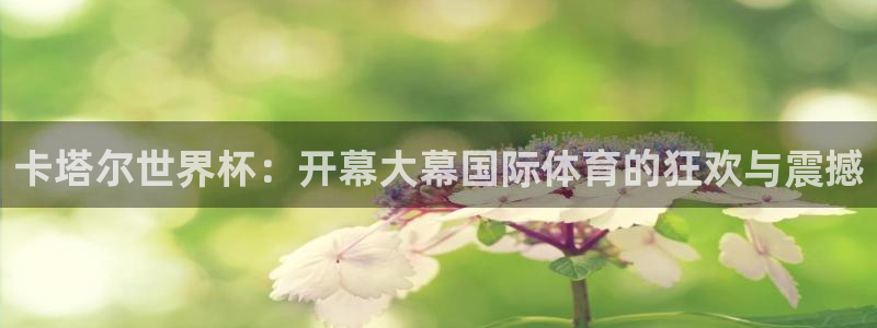 2026世界杯小组赛赛程时间表：卡塔尔世界杯：开幕大幕国际体育的狂欢与震撼