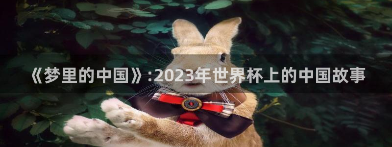 世界杯亚洲区预选赛赛程：《梦里的中国》:2023年世界杯上的中国故事