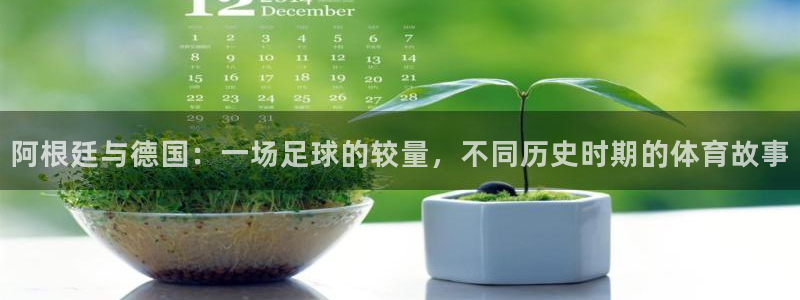 世界杯足球比赛：阿根廷与德国：一场足球的较量，不同历史时期的体育故事