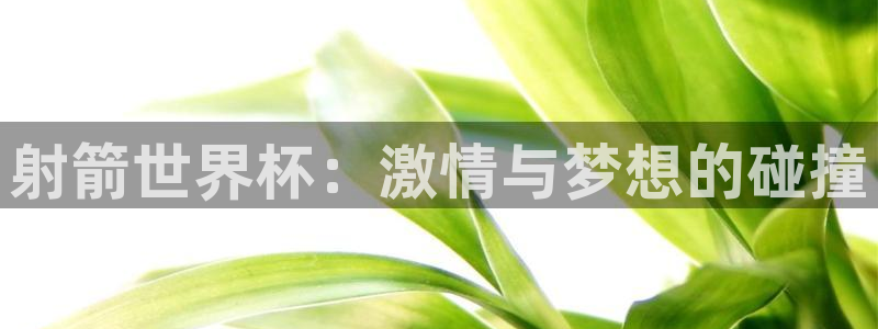 2026世界杯亚洲区预选赛赛程：射箭世界杯：激情与梦想的碰撞