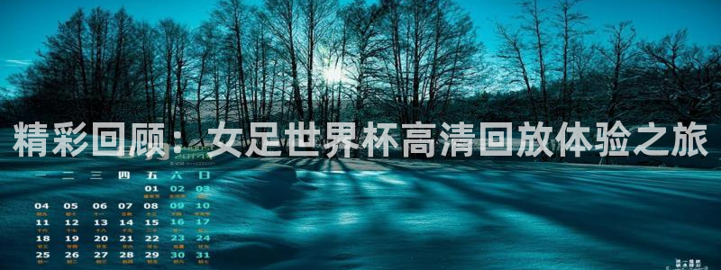 美国世界杯：精彩回顾：女足世界杯高清回放体验之旅