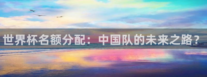 世界杯足球赛：世界杯名额分配：中国队的未来之路？