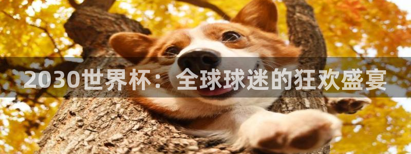 2026世界杯足球赛程时间表：2030世界杯：全球球迷的狂欢盛宴