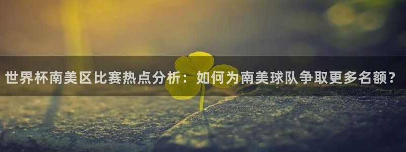美国世界杯：世界杯南美区比赛热点分析：如何为南美球队争取更多名额？